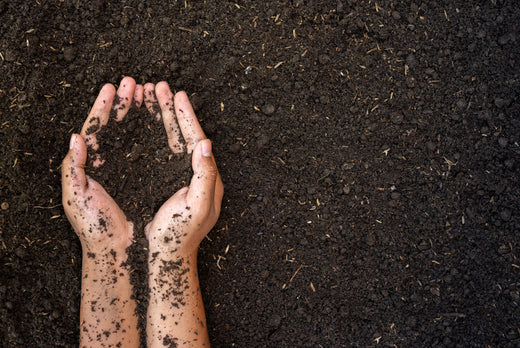 It all starts with the dirt