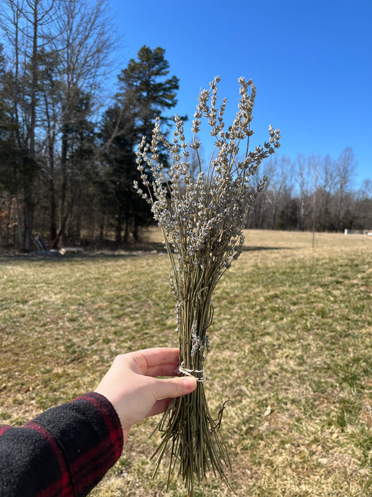 Dried Lavender Bundle Bluebird Homestead